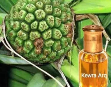 1599649142056 jpg 500x500