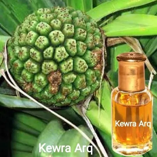 1599649142056 jpg 500x500