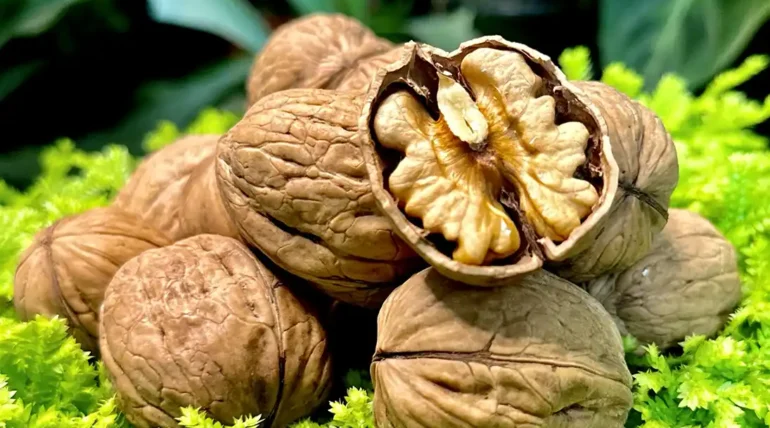 Organic Walnuts in shell