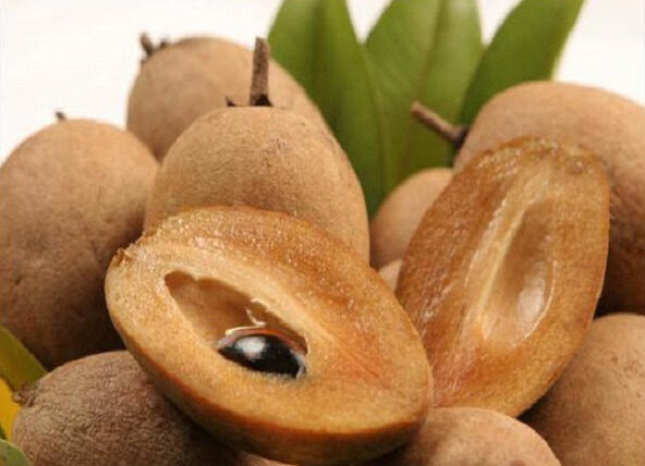 Sapodilla arq drops